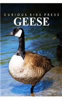 Geese - Curious Kids Press