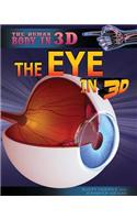 The Eye in 3D