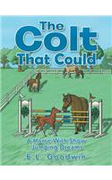 The Colt That Could: A Horse with Show Jumping Dreams.(English)