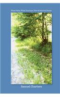 What Paths, What Journeys