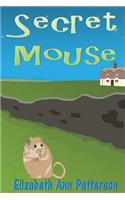 Secret Mouse