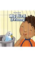 My Bird Is Funny