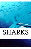 Shark Journal