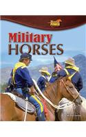Military Horses