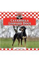 Catahoula Leopard Dogs