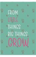 From Little Things Big Things Grow
