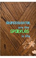 Granddaughter Are The Sparkles In Life