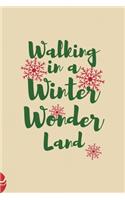 Walking In A Winter Wonder Land