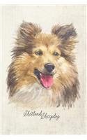 Shetland Sheepdog Portrait Notebook: Blank Lined Journal for Dog Lovers, Dog Mom, Dog Dad and Pet Owners - 6x9 with College Ruled Pages