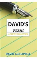 David's Poems