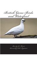 British Game Birds and Waterfowl