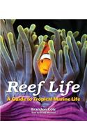 Reef Life: A Guide to Tropical Marine Life