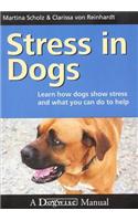 Stress in Dogs