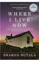 Where I Live Now