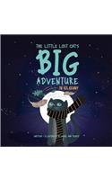 The Little Lost Cat's Big Adventure in Kilkenny