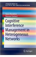 Cognitive Interference Management in Heterogeneous Networks