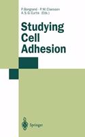 Studying Cell Adhesion