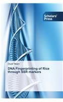 DNA Fingerprinting of Rice through SSR markers