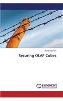 Securing OLAP Cubes