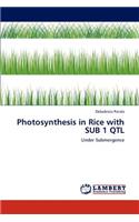 Photosynthesis in Rice with Sub 1 Qtl