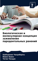&#1041;&#1080;&#1086;&#1083;&#1086;&#1075;&#1080;&#1095;&#1077;&#1089;&#1082;&#1072;&#1103; &#1080; &#1084;&#1086;&#1083;&#1077;&#1082;&#1091;&#1083;&#1103;&#1088;&#1085;&#1072;&#1103; &#1082;&#1086;&#1085;&#1094;&#1077;&#1087;&#1094;&#1080;&#1103;
