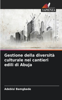 Gestione della diversità culturale nei cantieri edili di Abuja