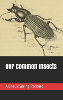 Our Common Insects