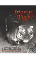 Tripwire For A Tiger