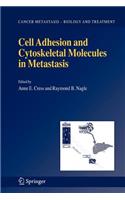 Cell Adhesion and Cytoskeletal Molecules in Metastasis