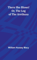 The Scottish Parliament Before the Union of the Crowns (Edition1)