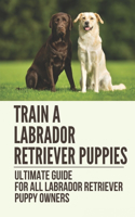Train A Labrador Retriever Puppies