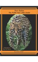 Purr-fection, the PURR-fect Little Ocelot