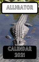Alligator Calendar 2021
