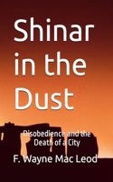 Shinar in the Dust