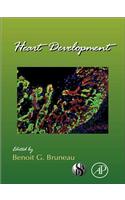 Heart Development