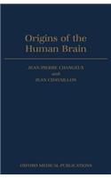 Origins of the Human Brain