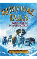 Survival Tails: Endurance in Antarctica: Endurance in Antarctica