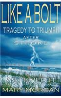 Like a Bolt: Tragedy to Triumph After Stroke