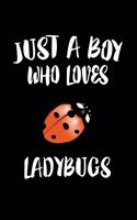 Just A Boy Who Loves Ladybugs