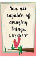 You Are Capable of Amazing Things