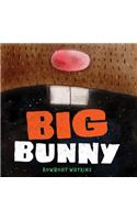 Big Bunny