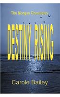 Destiny Rising