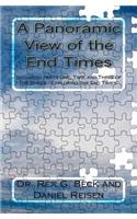 Panoramic View of the End Times