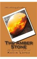 Amber Stone