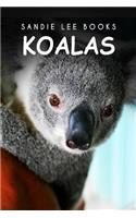 Koalas - Sandie Lee Books