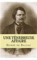 Une tenebreuse affaire