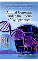 Animal Genomes Under the Focus of Cytogenetics