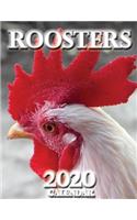 Roosters 2020 Calendar