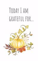 Today I am grateful for...