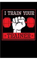 I Train Your Trainer